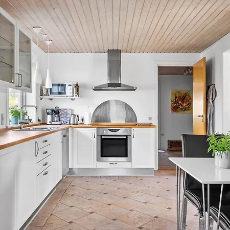 0280-romo-drosselvej-1 度假居